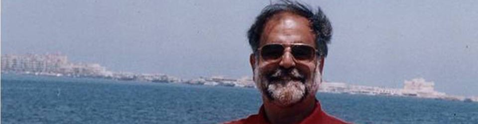 Prof. Muhammad Shamsaddin Megalommatis 2020 1